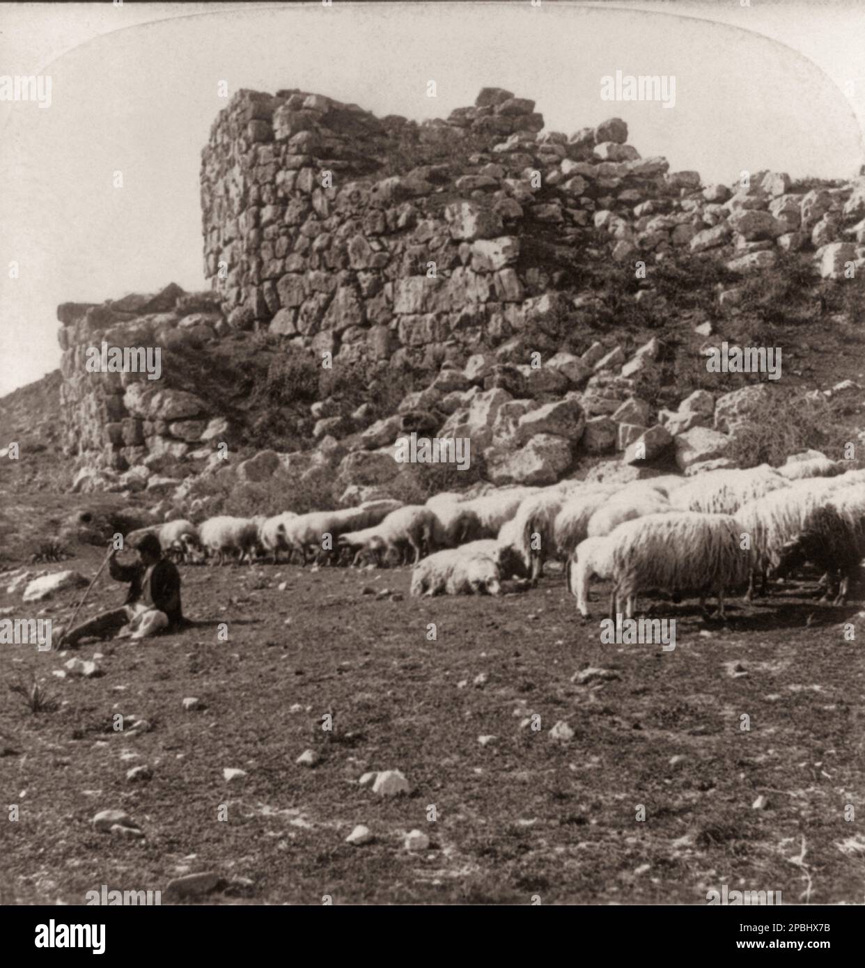 1897 : Great tower of Tiryns, Greece. Birthplace of Hercules . Stereotype photo by Underwood Co., USA . The german archeologist HEINRICH SCHLIEMANN ( 1822 in Neubukow, Mecklenburg-Schwerin -  1890 in Naples , Italy ) was a German treasure hunter, an advocate of the historical reality of places mentioned in the works of Homer, and an important excavator of Troy and of the Mycenaean sites Mycenae and Tiryns . - FOTO STORICHE - HISTORY - pastore - pecore al pascolo - Shepherd with flock of sheep - OMERO - TROIA - MICENE - GEOGRAFIA - GEOGRAPHY  - ARCHITETTURA - ARCHITECTURE - ARCHEOLOGIA - ARCHEO Stock Photo