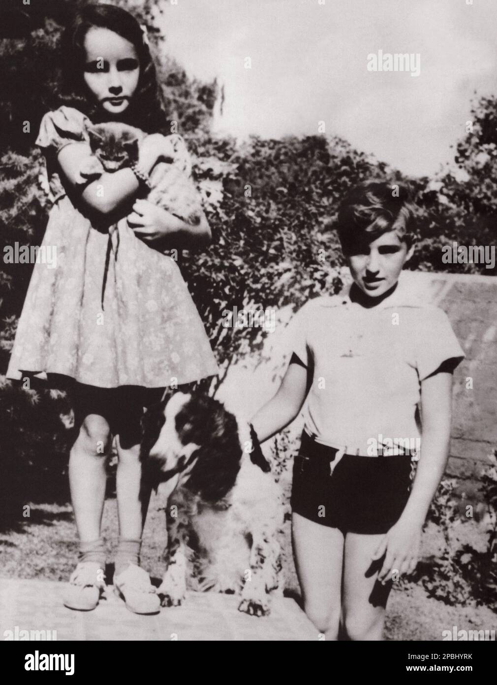 1939 ca : The movie actress ELIZABETH TAYLOR ( London , England 1932 ) when was a child with hes brother HOWARD , whit their pets  - CINEMA - portrait - ritratto - fratello - fratelli - brothers - sister - animali domestici - dog - cane - gatto - cat - children - child - bambino - bambini - bambina - personalita' da giovane giovani - personality personalities when was young - garden - giardino  --  ----  Archivio GBB Stock Photo
