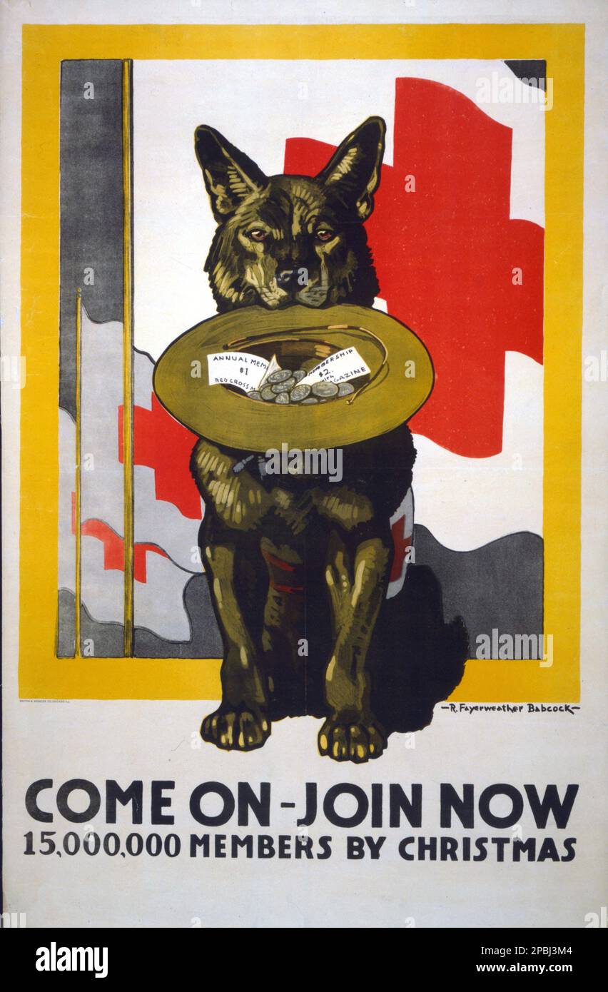 1917 , USA : American Red Cross - Come on - Join now 15,000,000 members by Christmas  . Poster showing a dog holding a hat in its mouth, filled with coins and Red Cross membership receipts, against background of Red Cross flags. Poster artwork by artist painter Richard  Fayerweather Babcock , printed by Walton & Spencer Co., Chicago, Ill. - CROCE ROSSA - ferito - blessed  - WORLD WAR I - WWI - PRIMA GUERRA MONDIALE - Grande Guerra - Great War - foto storiche  storica - locandina - poster - engraving - incisione - illustration - illustrazione  - HISTORY PHOTOS   - manifesto - AFFICHE - bambino Stock Photo