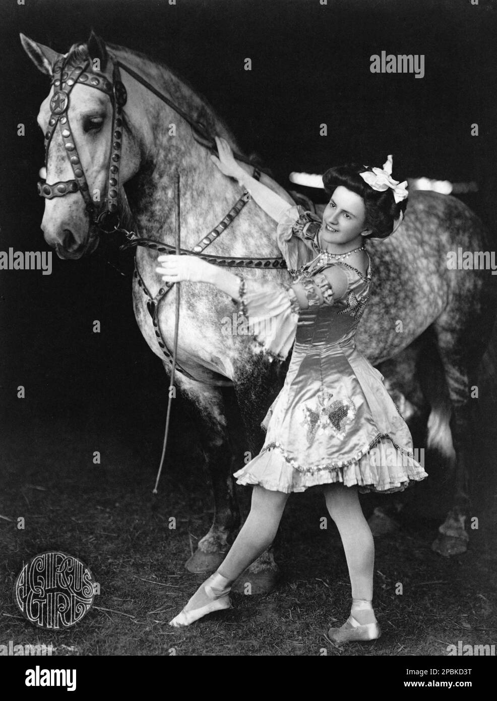 1908 , USA : A Circus girl with horse .  Photo by F. W. Glasier, Brockton, Mass. - CAVALLO - CAVALLI  - domatore - domatrice equestre - CIRCO - CIRCUS - MUSIC HALL - MUSICALL - CABARET - VAUDEVILLE - WOMAN - DONNA -   HISTORY - FOTO STORICA - smile - sorriso - frustino - wimp - CAVALLERIZZA - gloves - guanti - raso - satin - farfalla - papillon embroderie  ----  Archivio GBB Stock Photo
