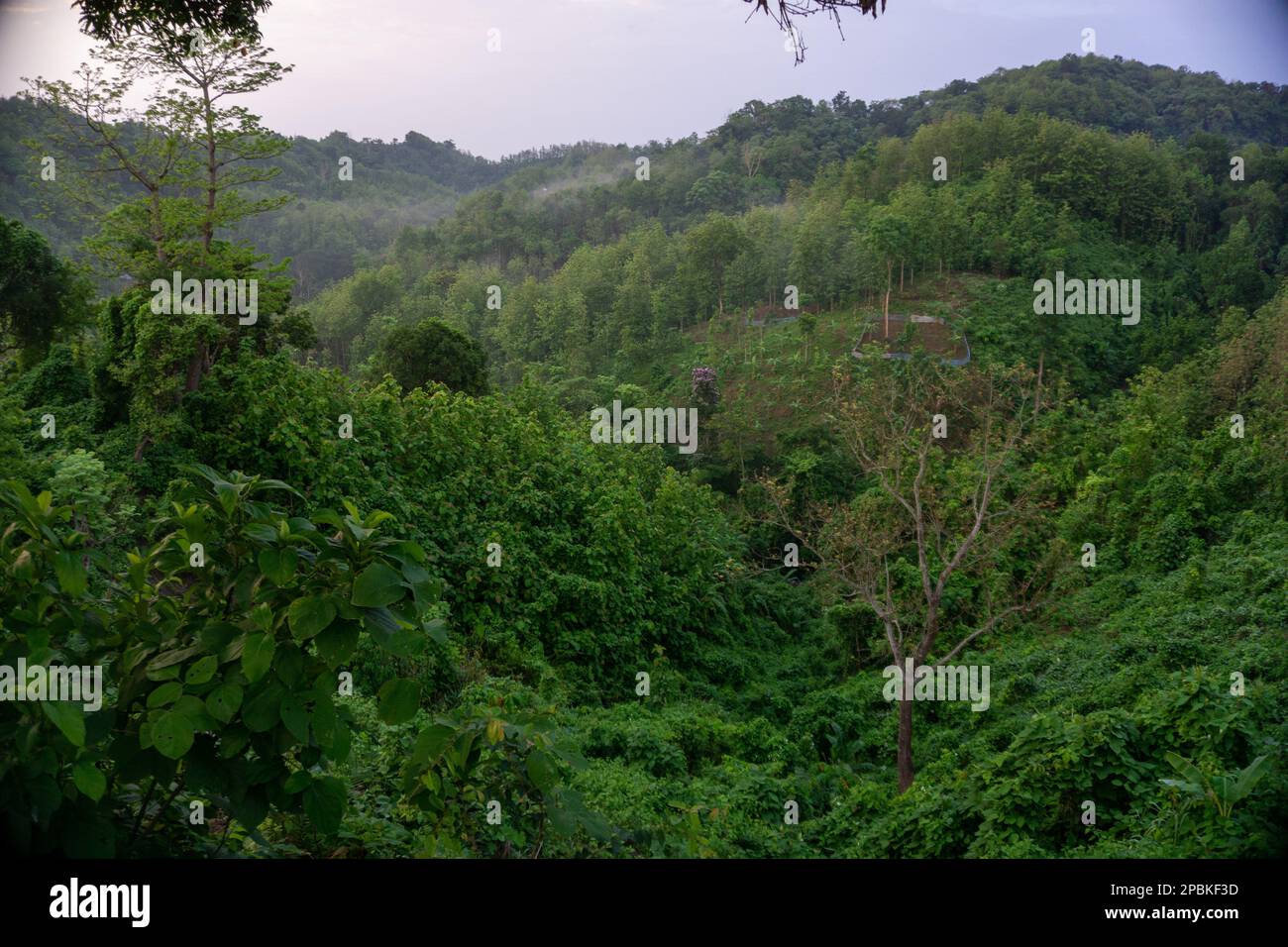 Beautiful scenery in the mountains. Hilly region of Bangladesh. The morning sky, green magical mountains covered in morning mist. Photo taken from Meg Stock Photo