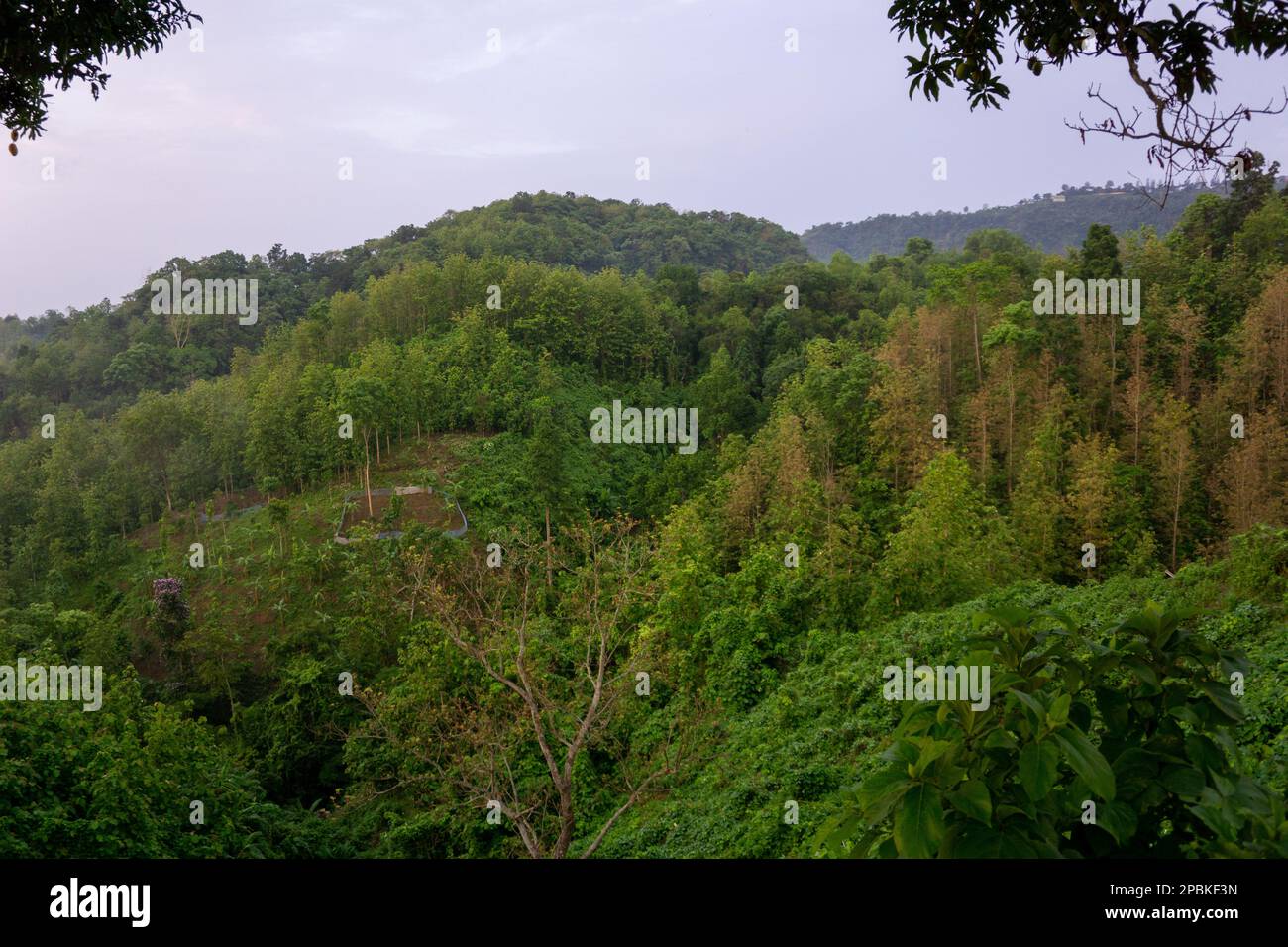 Beautiful scenery in the mountains. Hilly region of Bangladesh. The morning sky, the green magical mountains are arranged in layers. Photo taken from Stock Photo