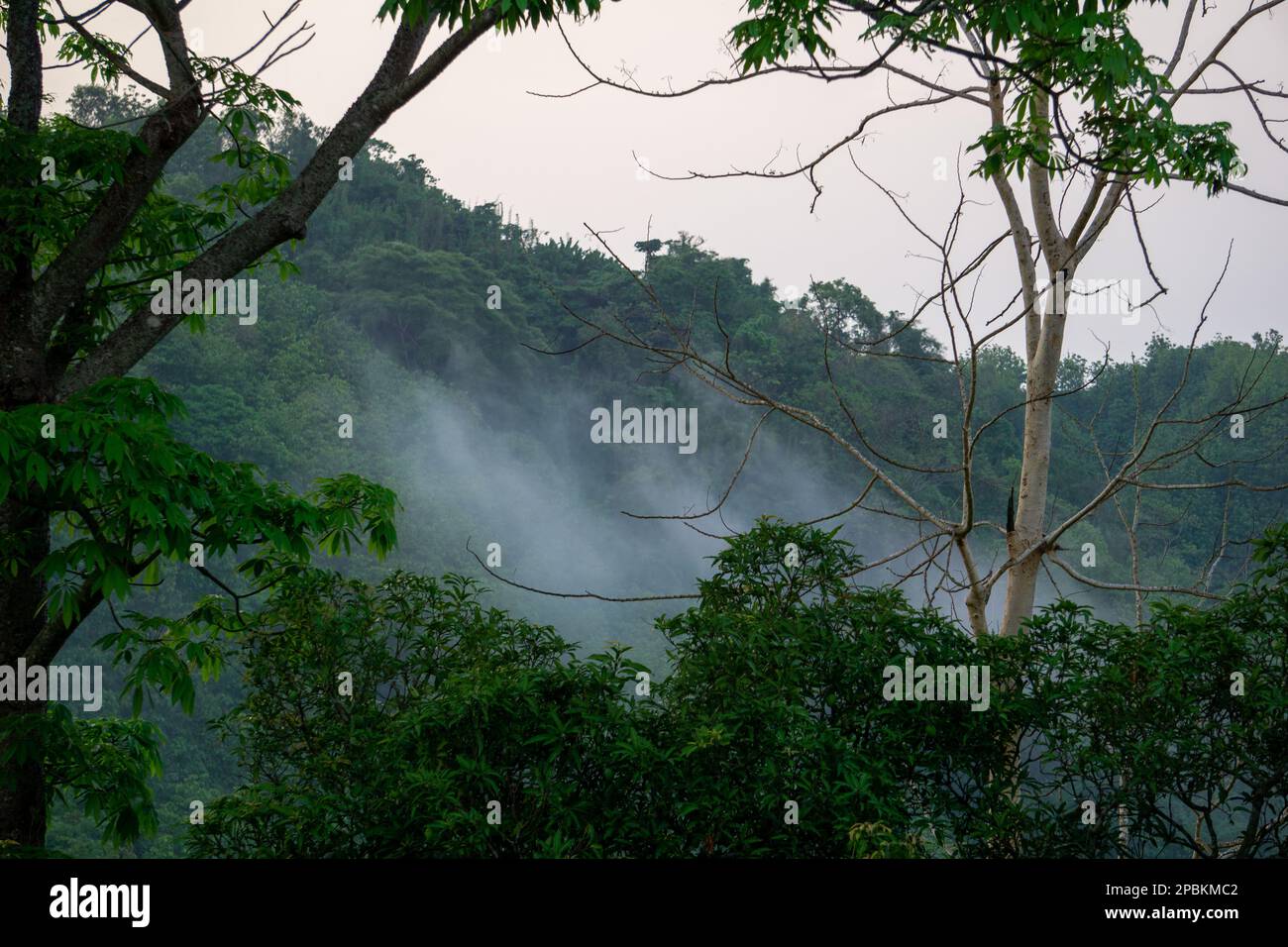 Beautiful scenery in the mountains. Hilly region of Bangladesh. The morning sky, green magical mountains covered in morning mist. Photo taken from Meg Stock Photo