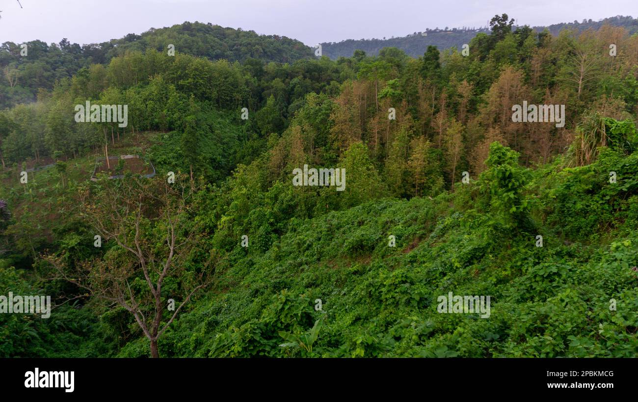 Beautiful scenery in the mountains. Hilly region of Bangladesh. The morning sky, green magical mountains covered in morning mist. Photo taken from Meg Stock Photo