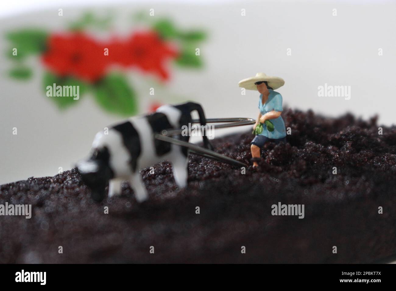 miniature figure of a farmer as if he was plowing a chocolate sponge cake. Stock Photo