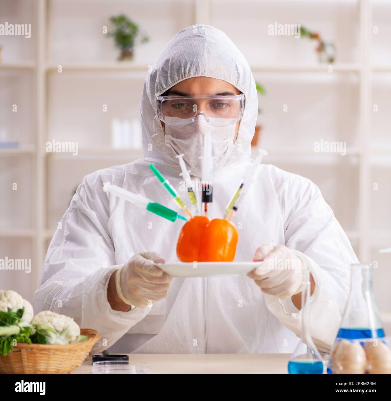The scientist working in lab on gmo fruits and vegetables Stock Photo ...