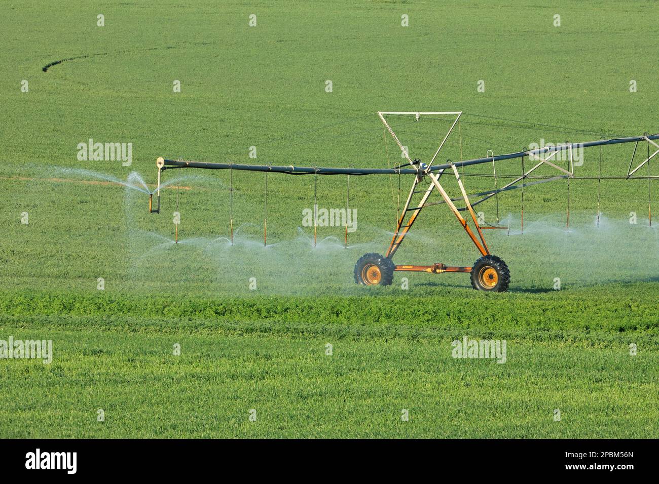 Water sprinklers of a center pivot irrigation system on lush green crops Stock Photo