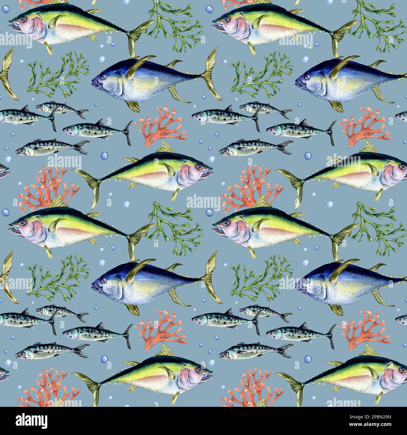 Various Wild Sea Fish Seamless Pattern Watercolor Illustration Isolated On Blue Wild Fish Tuna