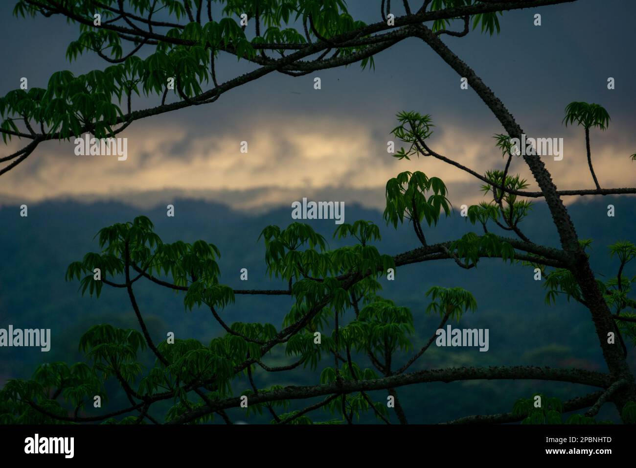 Pre-dawn scene in the mountains. Low light mix. Photo taken from Chittagong, Bandarban, Bangladesh. Stock Photo