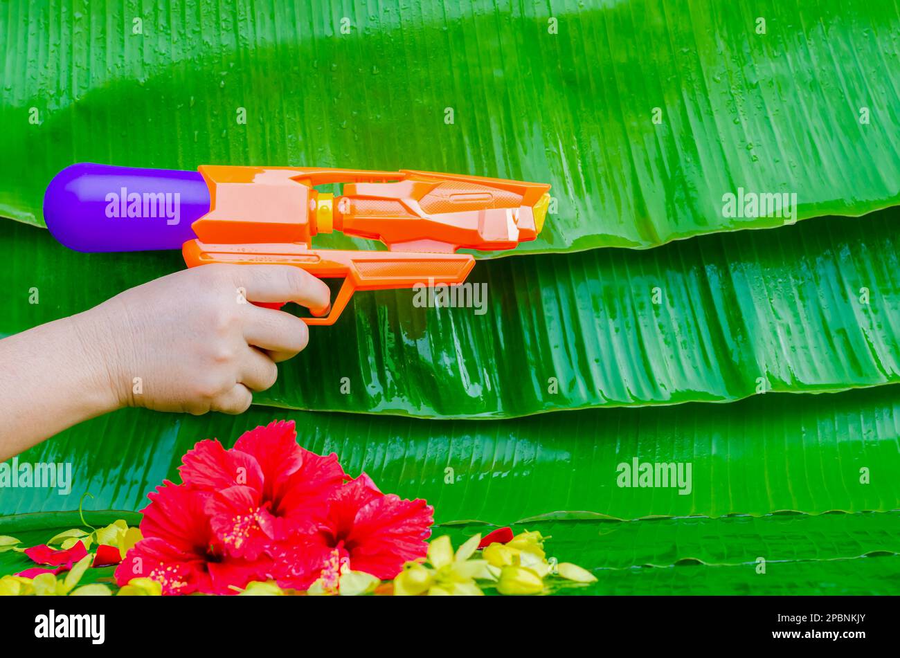 How Does A Water Gun Work atelieryuwa.ciao.jp