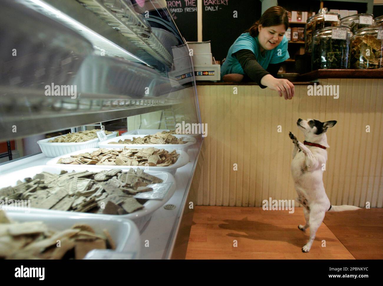 Jacks dog cheap bakery
