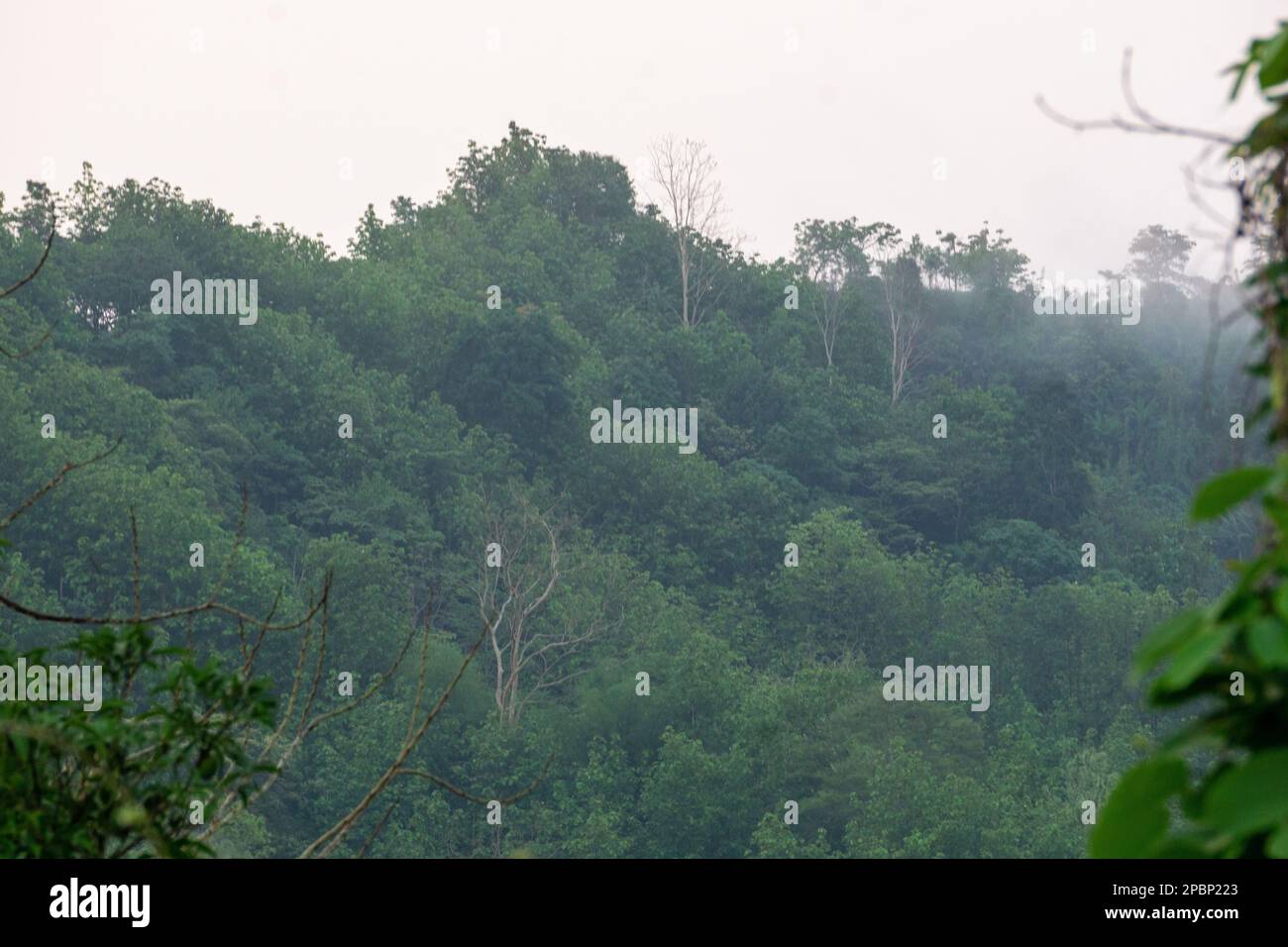 The green hills are covered in fog. Mist covered mountains in winter morning. Photo taken from Chittagong, Bandarban, Bangladesh. Stock Photo