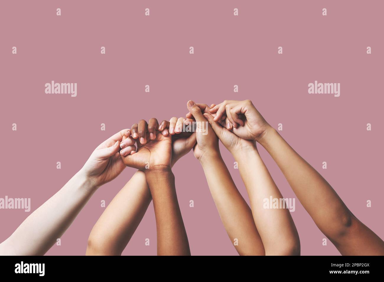 Hands, support and people in unity, togetherness and solidarity on pink ...