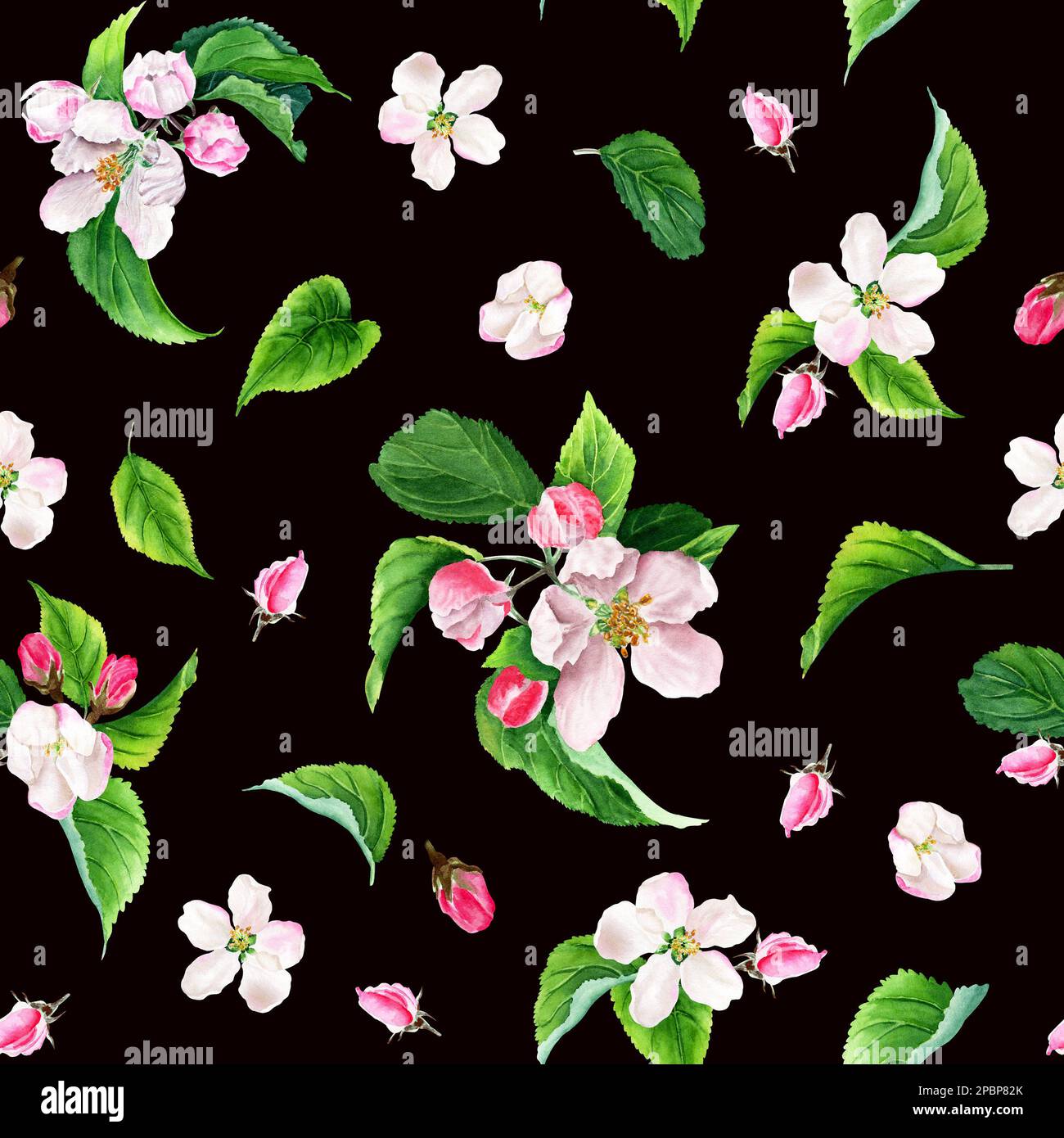 Seamless pattern with apple tree blooms, buds and leaves. Watercolor ...