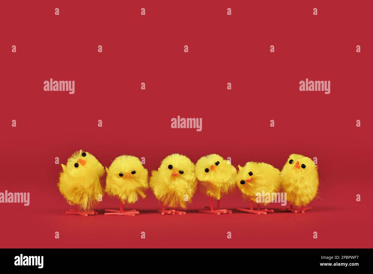 Small decorative Easter chickens in a row on red background Stock Photo