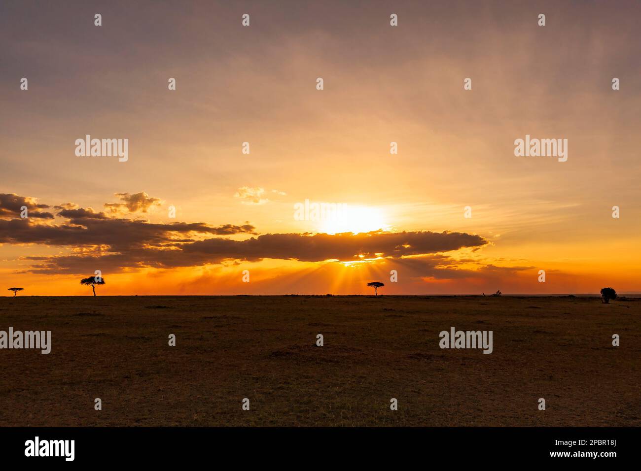 African sunset landscape hi-res stock photography and images - Alamy