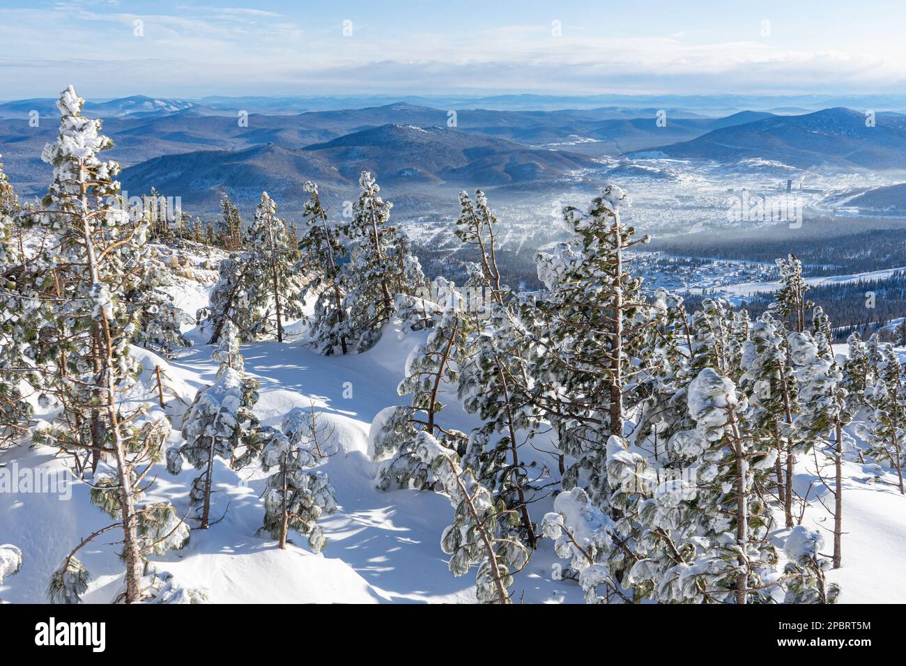 Dwarf coniferous trees in the snow, on top of a high mountain. View of the hills and the village in the distance. Stock Photo