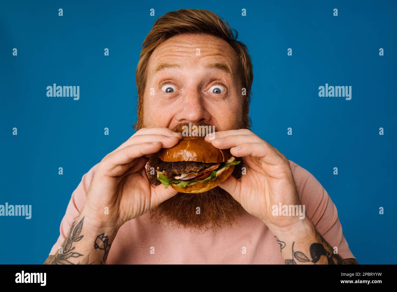 Bearded hungry man eating burger while standing isolated over blue