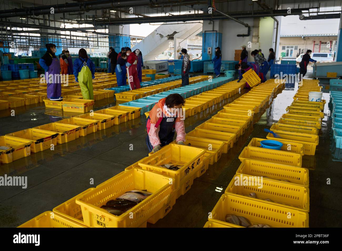 (230313) -- FUKUSHIMA, March 13, 2023 (Xinhua) -- This photo taken on March 8, 2023 shows a fish market in Soma City, Fukushima Prefecture, Japan. Struck by a magnitude-9.0 earthquake and ensuing tsunami that hit Japan's northeast on March 11, 2011, the power plant suffered core meltdowns, resulting in a level-7 nuclear accident, the highest on the International Nuclear and Radiological Event Scale. Twelve years after the 2011 accident traumatized Fukushima's fishing industry, local fishermen are still struggling for recovery. As Japan pushes ahead with dumping tons of contaminated nuclear Stock Photo