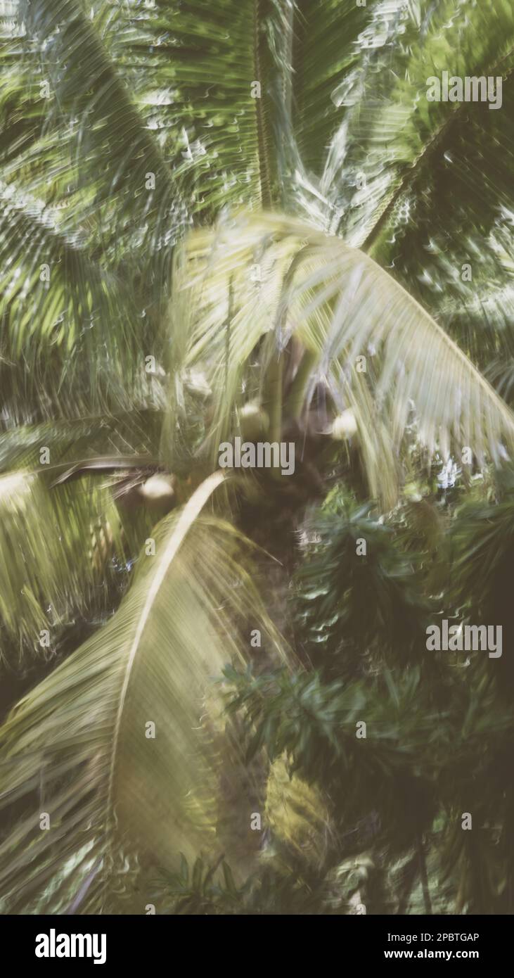 Abstract Nature Blurred dynamic motion lines defocused brown grey pale monochrome tropical leaves Wallpaper screensaver design background Stock Photo