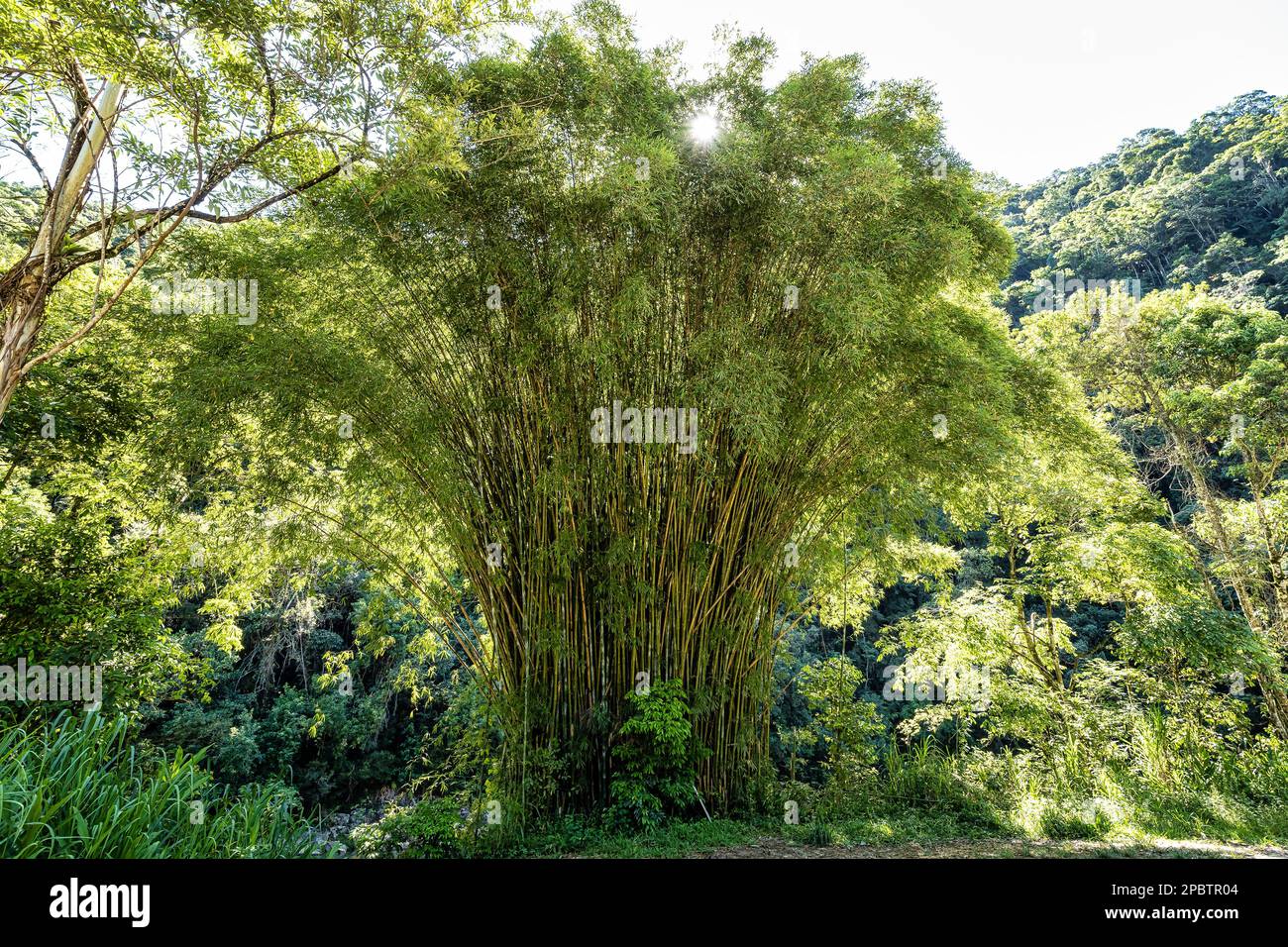 Beautiful landscape view of Atalaia Park, Itajai City, Brazil. Parque