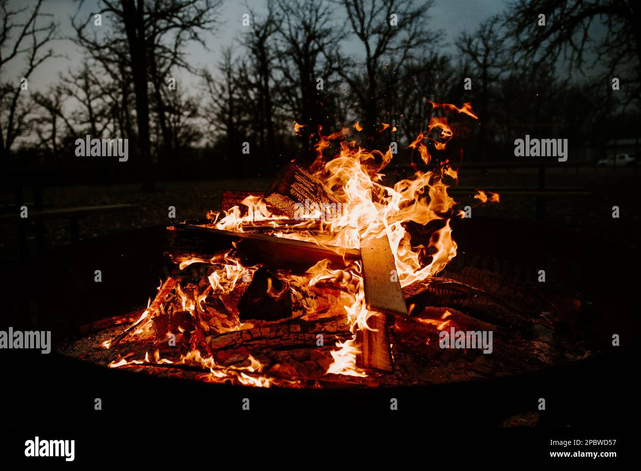 roaring, crackling bonfire with sparks flying on a dark evening Stock ...