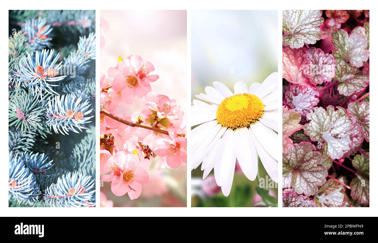 Four seasons of year. Set of vertical nature banners with winter ...
