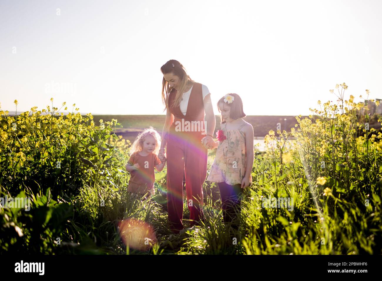 Mom & Daughters Walking in Flower Field in San Diego Stock Photo Alamy