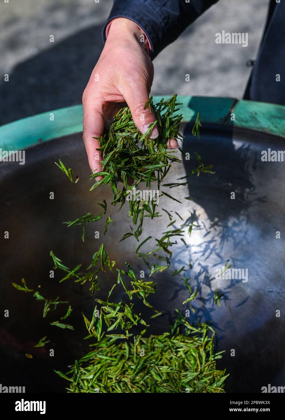 (230313) -- HANGZHOU, March 13, 2023 (Xinhua) -- A farmer stirs and ...