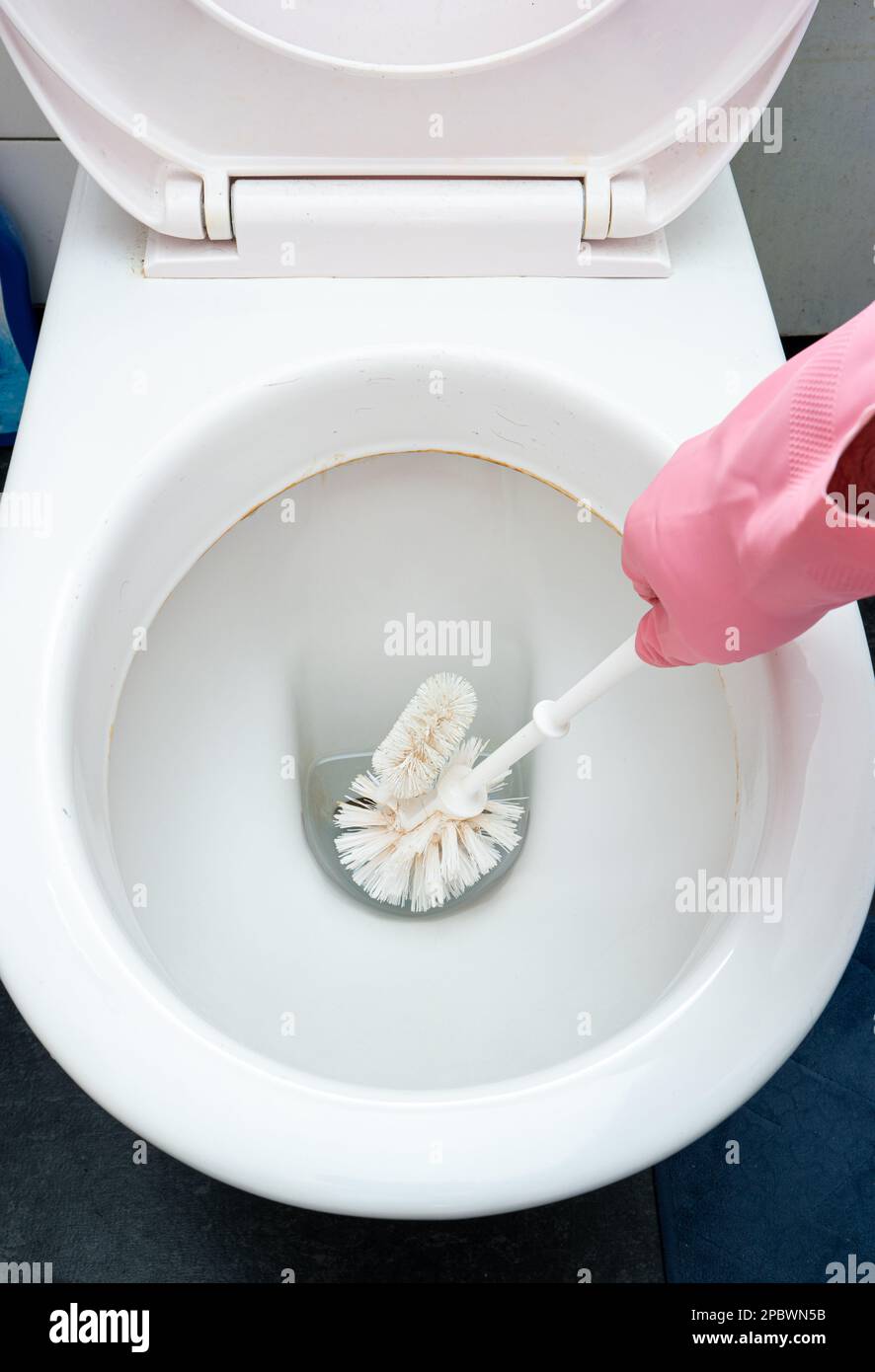Male hand in latex glove using a toilet brush to scrub the WC bowl. Top view, no face Stock