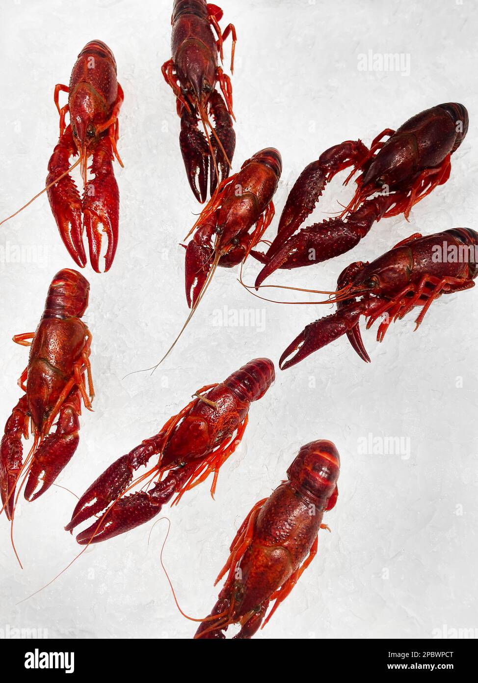 fresh red crayfish on ice Stock Photo