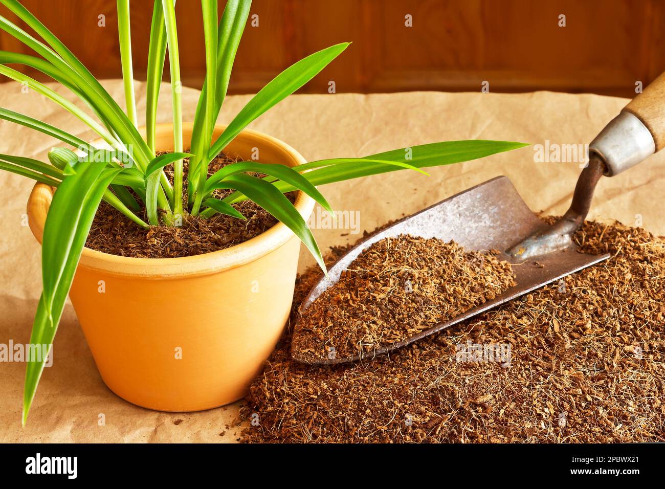 Dry coconut fibre substrate made ecofriendly and cheap from coco coir