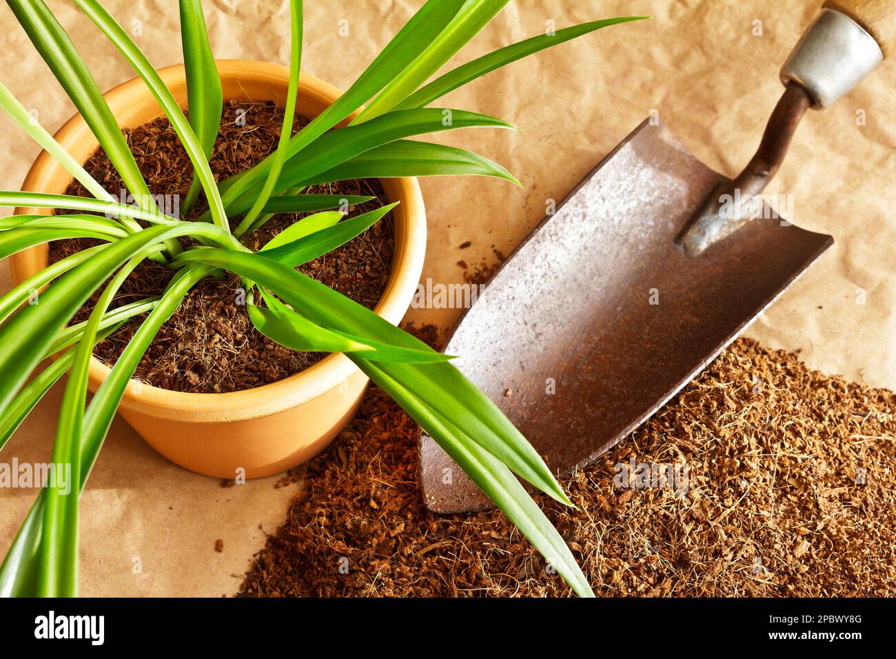 Dry coconut fibre substrate made ecofriendly and cheap from coco coir