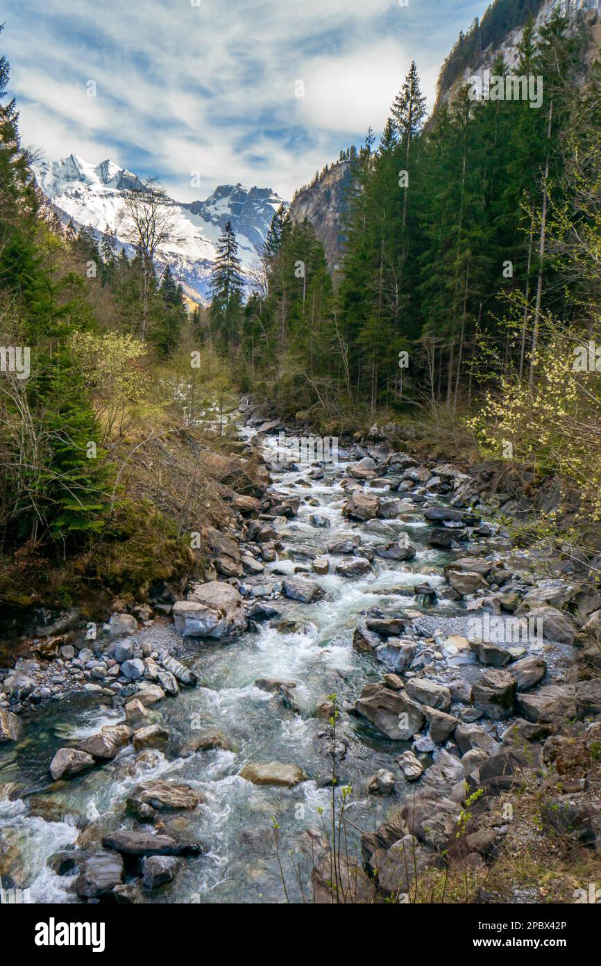 Swiss Alps mountain scene. River rushing down over large boulders and  rocks, snowy mountain peak in the distance, no people Stock Photo - Alamy, image size:866x1390