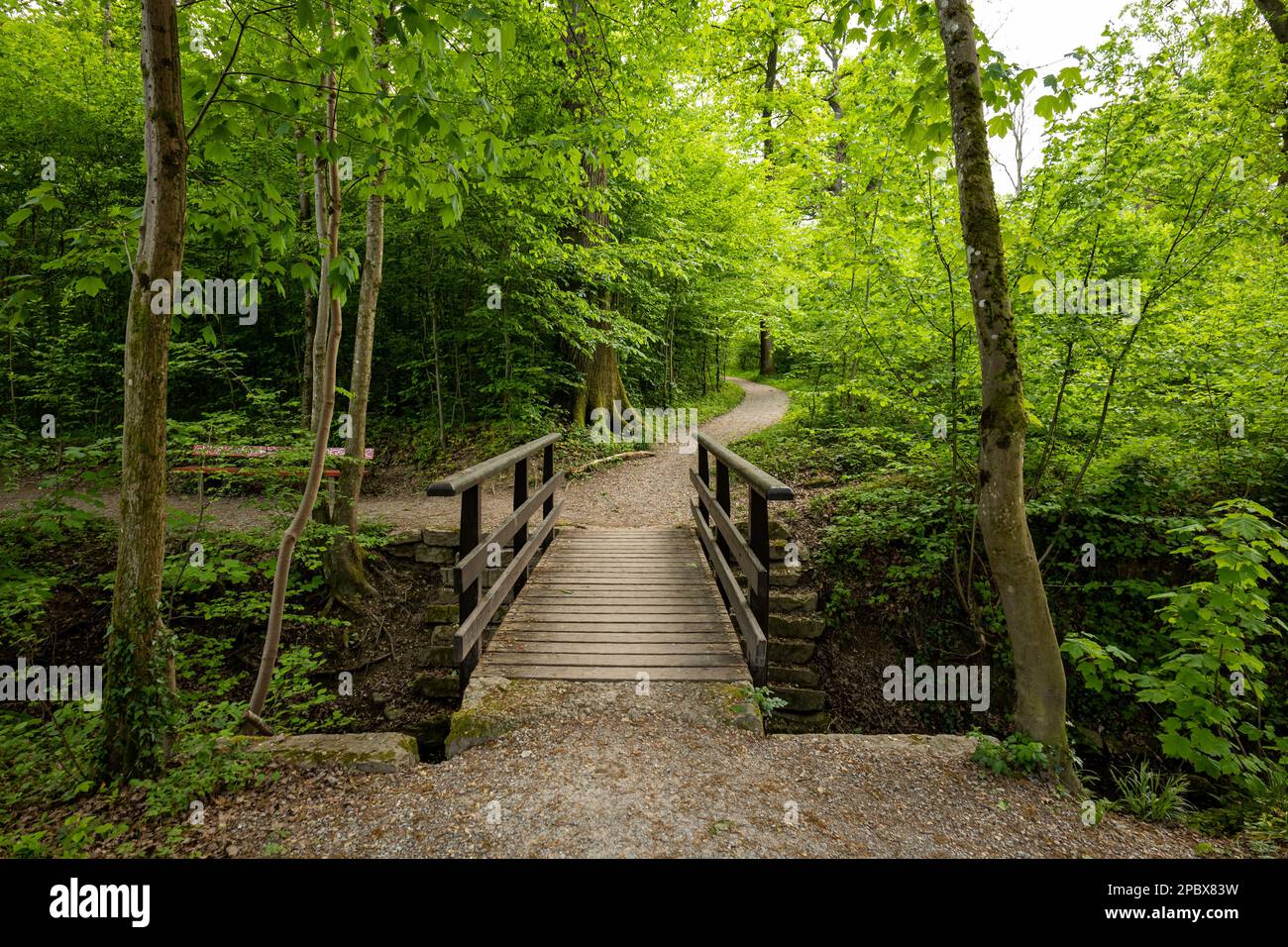 Old wooden bridge with guard rails over a small river in a forest. Sunny summer day, no people. Stock Photo