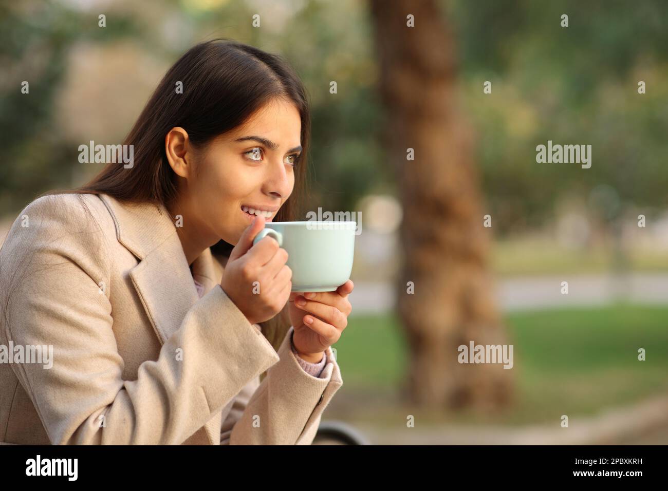 Happy woman looking away drinking coffee in winter sitting on a bench in a park Stock Photo