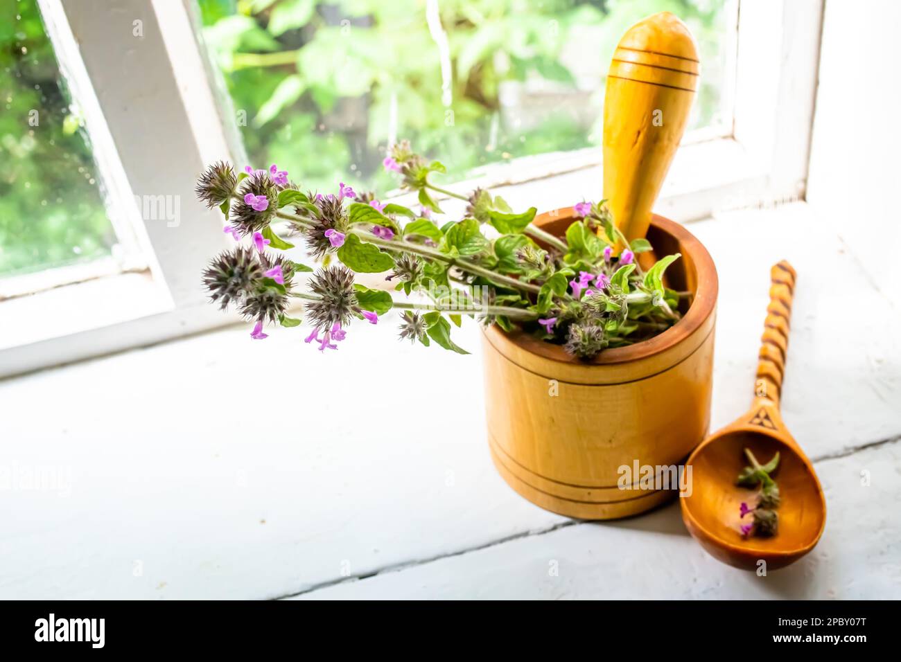 Still life with a bouquet of flowering Gemeiner Wirbeldost, Clinopodium vulgare, wild basil on an old vintage windowsill with wooden frames Stock Photo