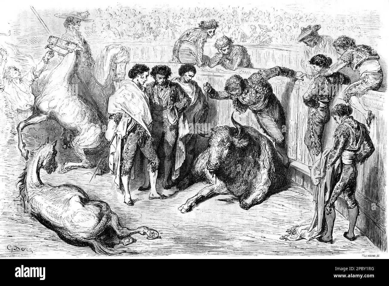Killing of Bull with a Puntilla Knife or Dagger during a Spanish Bullfight or Corrida Spain. Vintage or Historic Engraving or Illustration by Gustave Doré 1862 Stock Photo