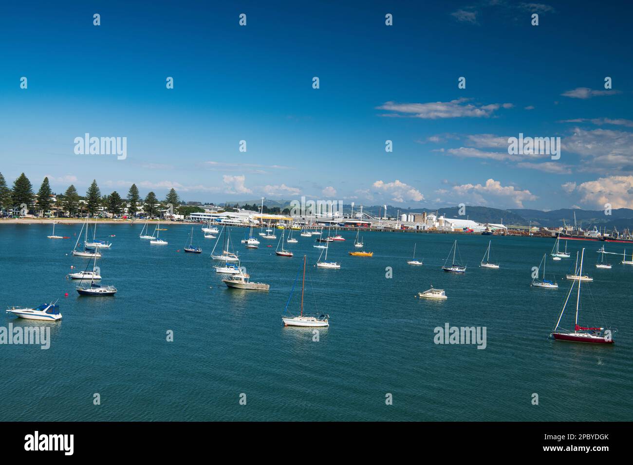 Pilot Bay viewed from the base of Mount Maunganui. Boats are anchored on a calm summer afternoon. Stock Photo