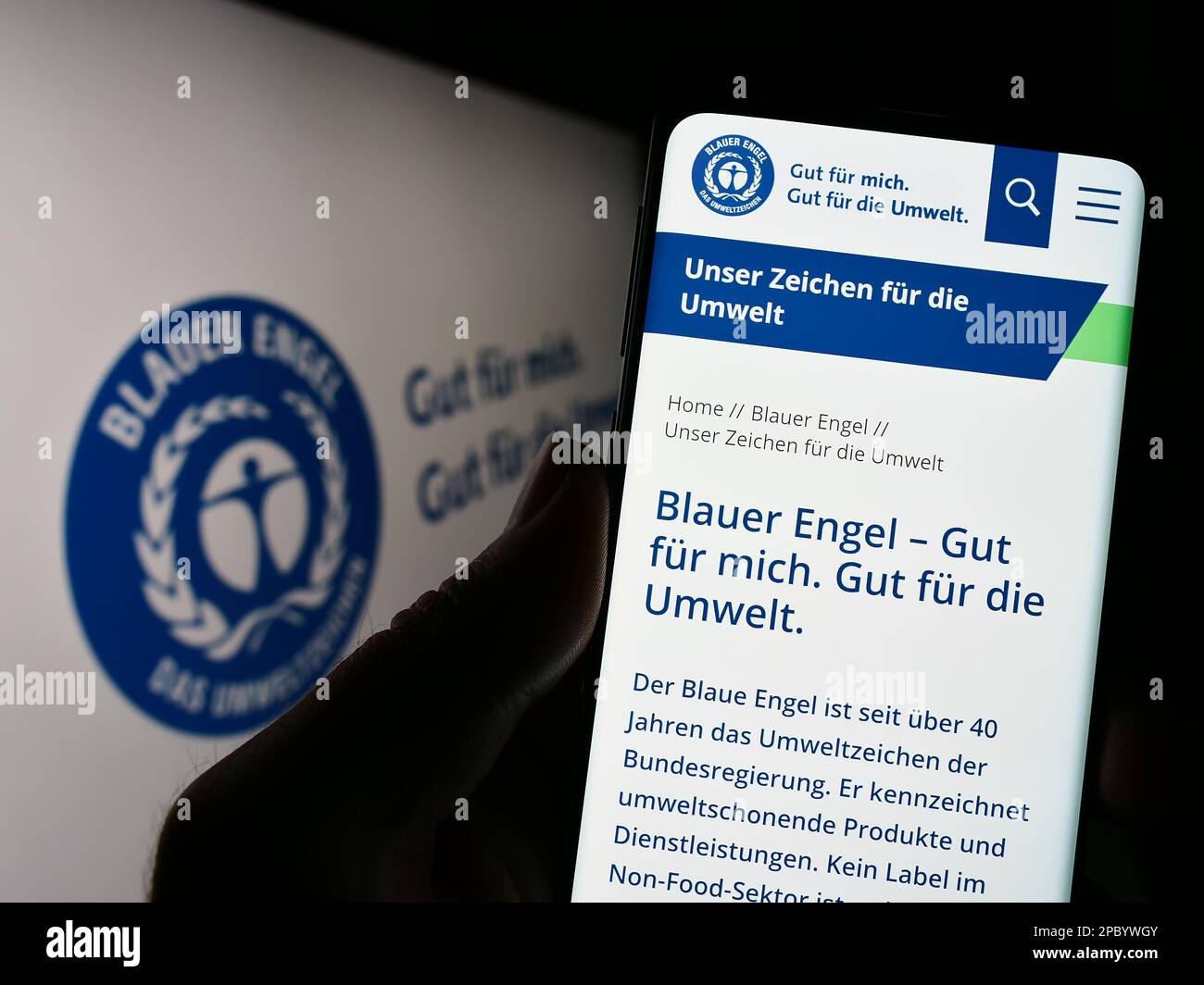 Person holding cellphone with website of German environmental label Blauer Engel (Blue Angel) on screen. Focus on center of phone display. Stock Photo