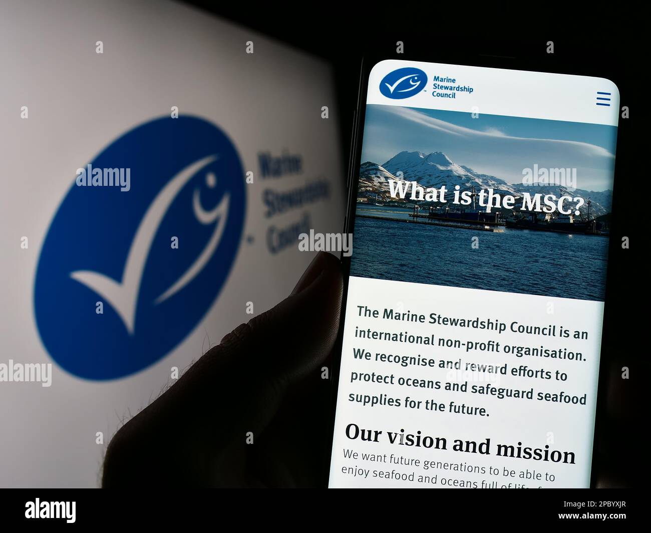 Msc logo hi-res stock photography and images - Alamy