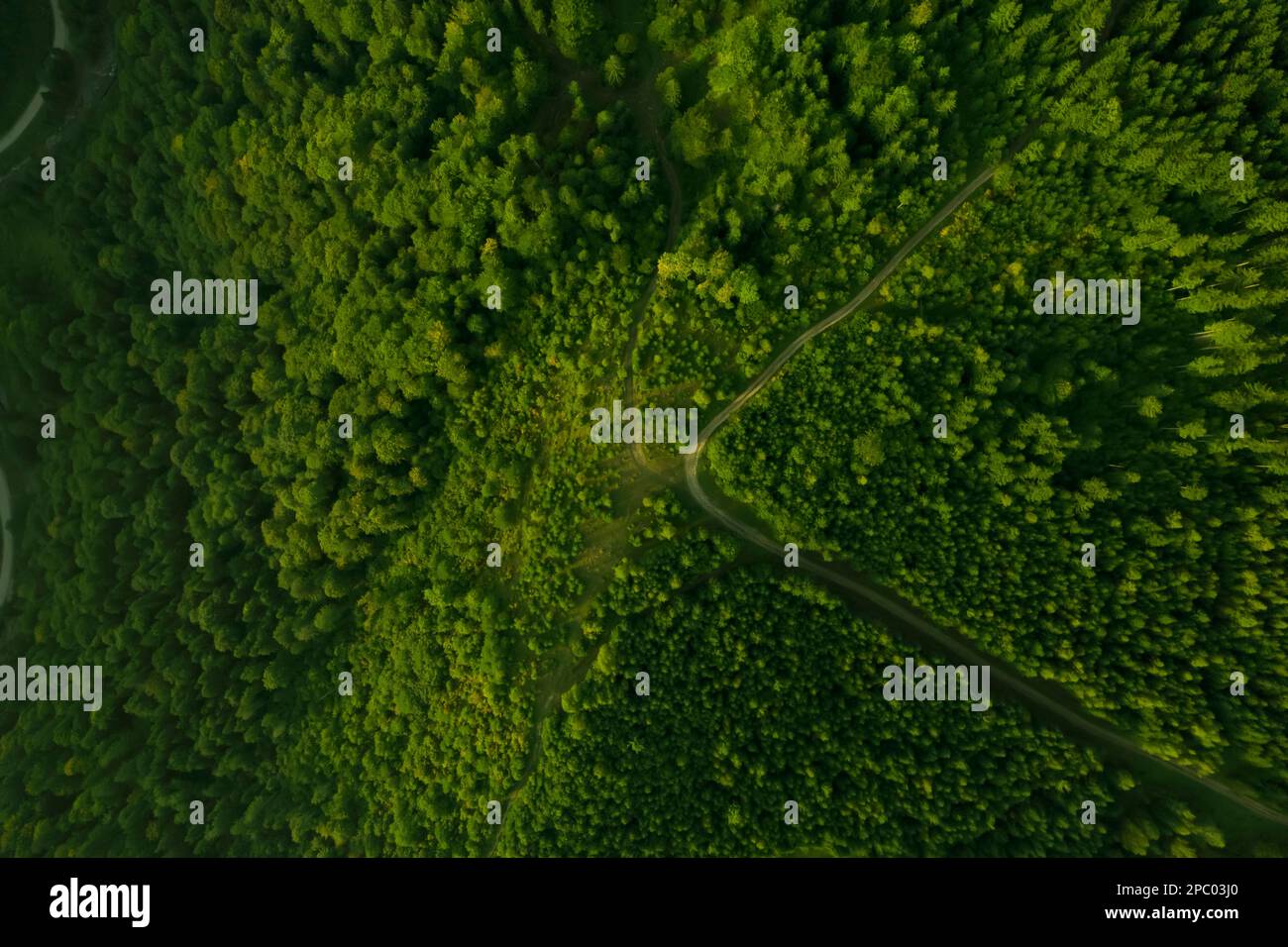 Aerial view of road surrounded by forest with beautiful green trees ...