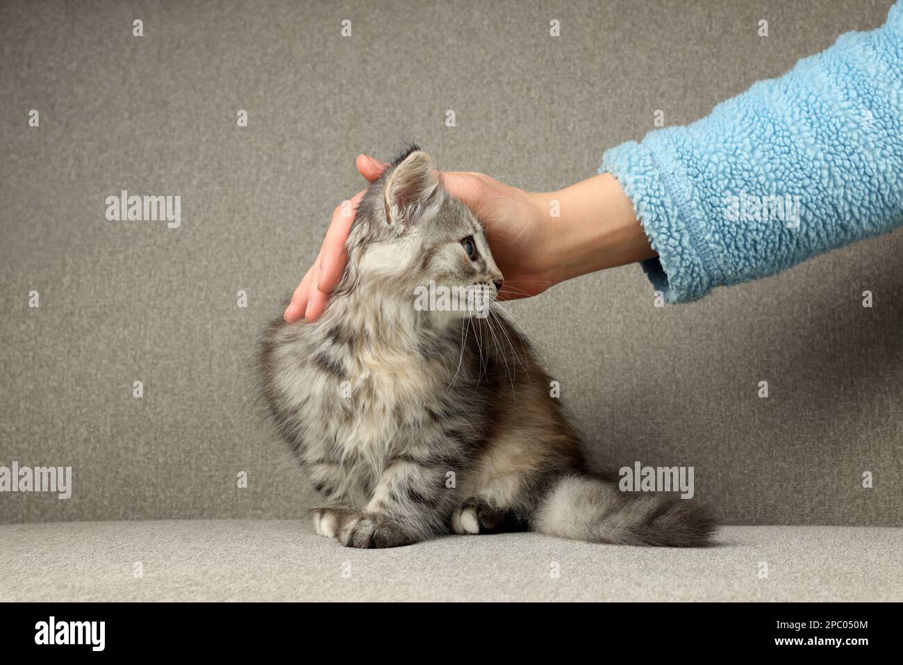 Styroking Pretty young woman sitting stroking hi-res stock photography and images ...