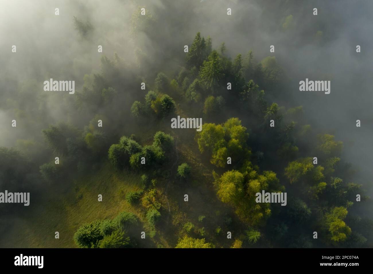 Aerial view of beautiful landscape with misty forest Stock Photo - Alamy