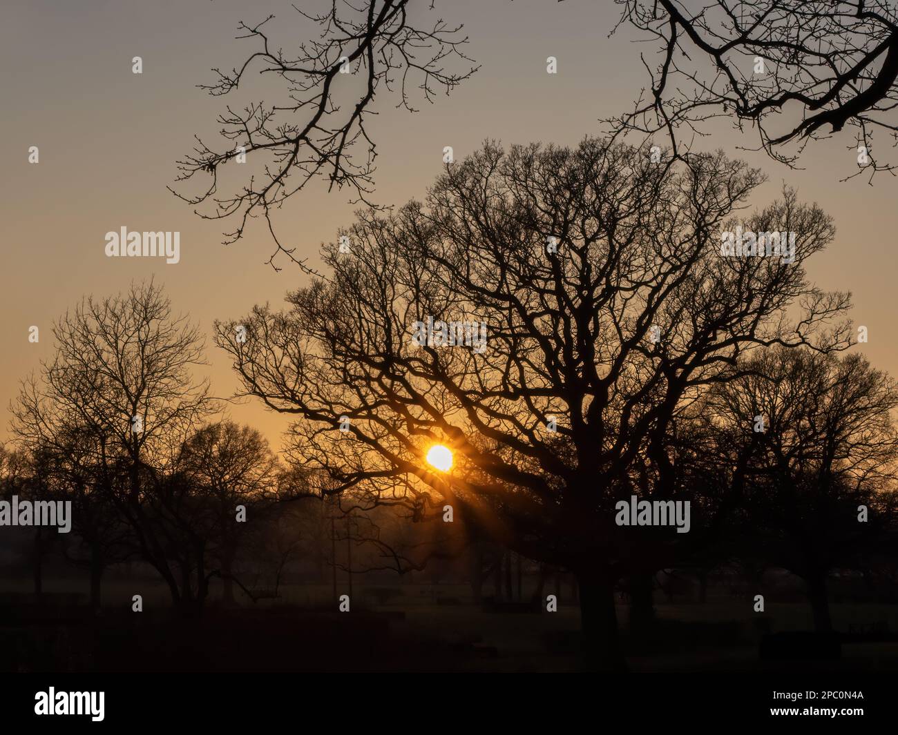 Winter Sunset through trees in Sussex, England Stock Photo