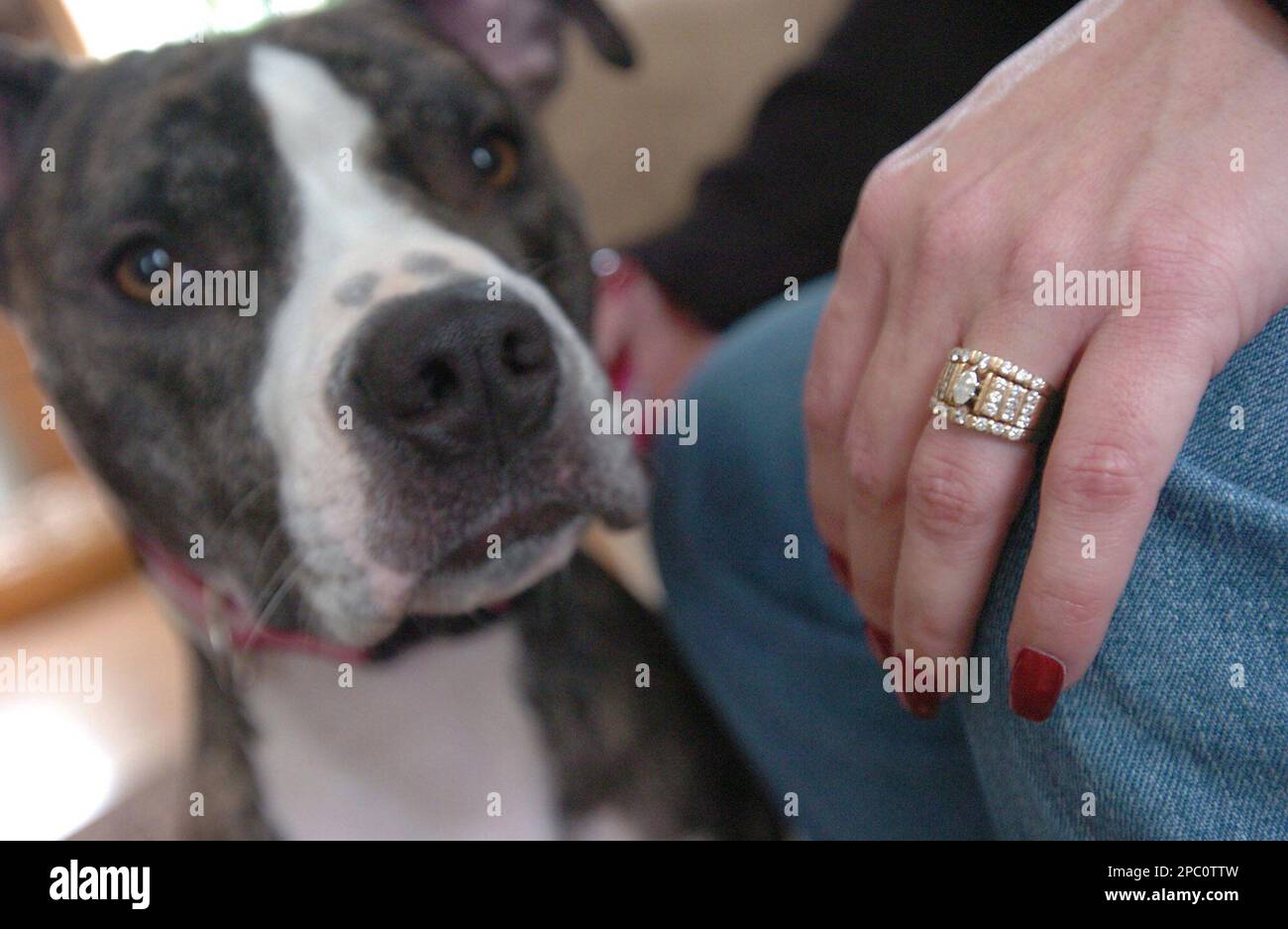 Tina Burlett shows off her diamond wedding ring beside her dog, Missy, at  her home in Raisinville Township, Mich., Tuesday, Feb. 6, 2007. Burlett  thought someone broke into her house and stole