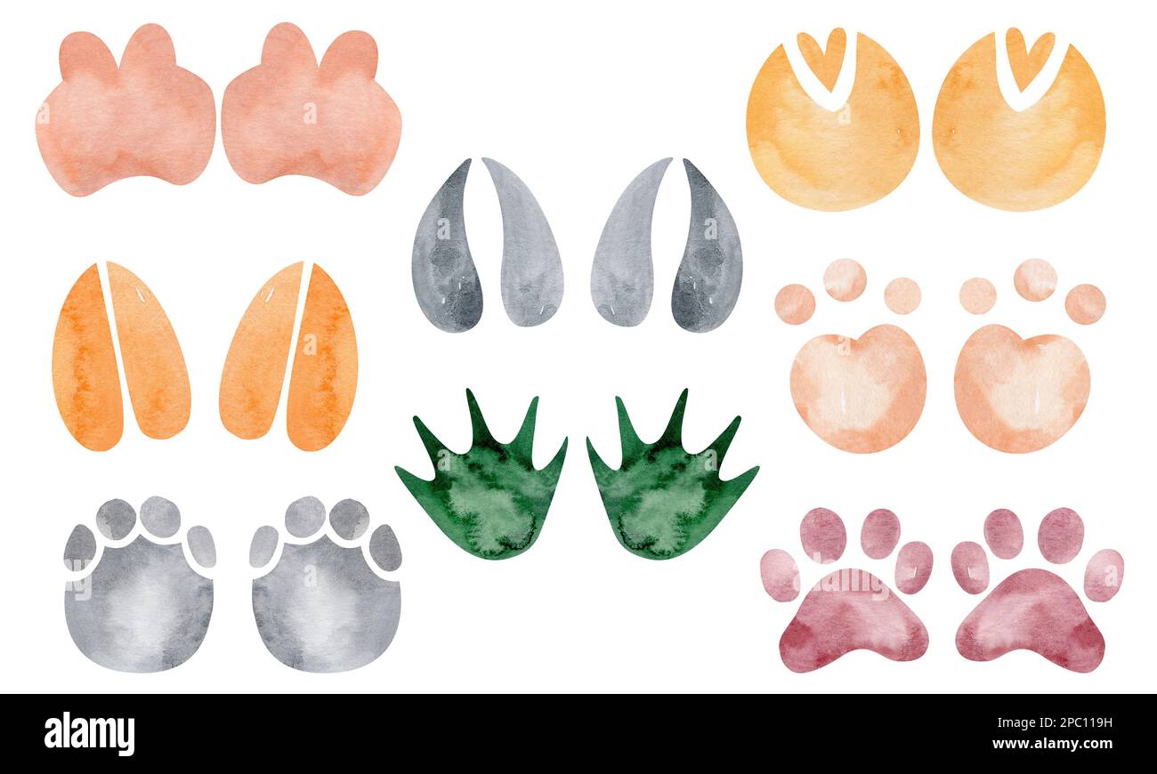 Animal tracks. Animal feet silhouette. Path for walking on the paws of