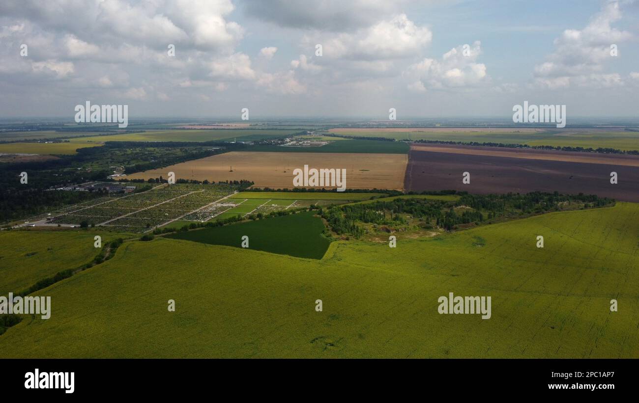 Green and yellow agricultural farm fields, fast moving shadows on the earth from white clouds in sky on a summer day. Agricultural panoramic landscape. Agrarian plantations scene. Aerial drone view. Stock Photo