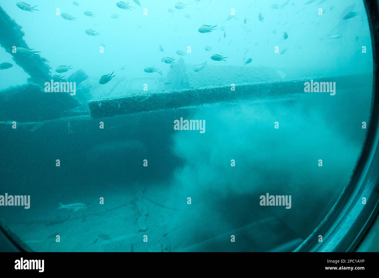 shoal of small fish sheltering around boat wreck as an artificial reef as seen from aboard the submarine safaris submarine out of puerto calero Lanzar Stock Photo