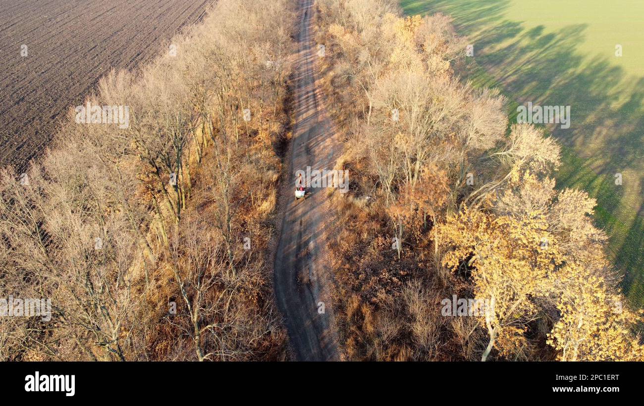 People riding in cart carriage with sacks and horses driving along dirt country road between trees without leaves on autumn sunny day. Rural countryside landscape, country scenery. Aerial drone view Stock Photo